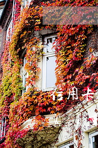 信用卡持卡數(shù)量和逾期數(shù)量(有多少信用卡逾期的人)