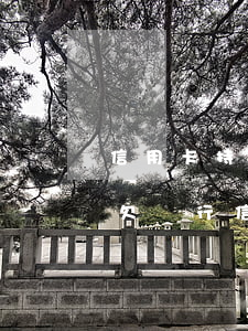 信用卡持續(xù)再還逾期了會被起訴嗎(欠銀行信用卡逾期多久會被起訴)