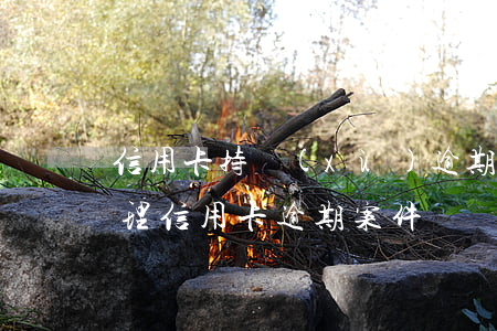 信用卡持續(xù)逾期會被告嗎(法院會受理信用卡逾期案件嗎)