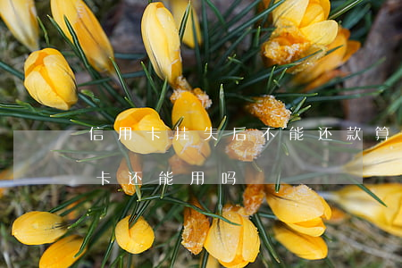 信用卡挂失后不能还款算逾期吗(挂失的信用卡还能用吗)