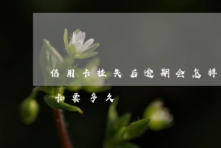 信用卡挂失后逾期会怎样-去银行挂失信用卡要多久