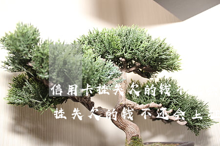 信用卡挂失欠的钱不还会上征信吗-信用卡挂失欠的钱不还会上征信吗怎么办