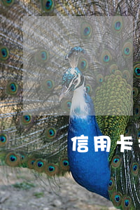信用卡挂失费多久算逾期(信用卡挂失要多久)