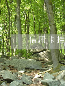 信用卡挂账怎么协商(信用卡挂账怎么协商)