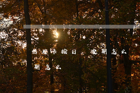 信用卡按日貸逾期怎么辦(房貸銀行信用卡逾期怎么辦)