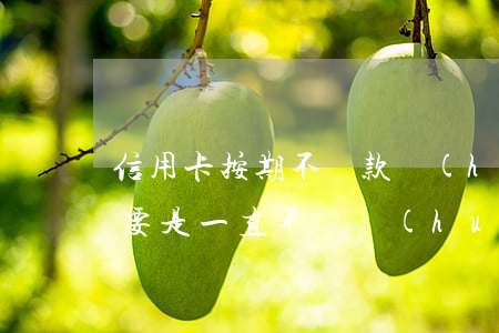 信用卡按期不還款會(huì)怎樣(信用卡要是一直不還會(huì)怎么樣)