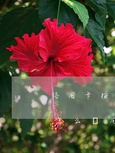 信用卡按期還不上怎么辦(信用卡逾期還不上怎么辦用什么辦法解決)