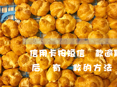 信用卡按短信還款逾期(信用卡收到逾期短信后還有補救的方法嗎)