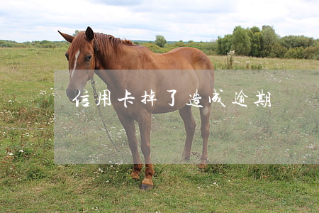 信用卡掉了造成逾期