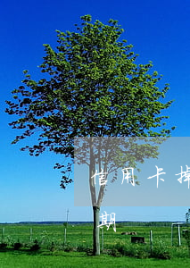 信用卡掉額導(dǎo)致逾期-“信用卡逾期”
