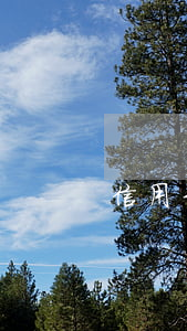 信用卡掛失中逾期(信用卡掛失中逾期)