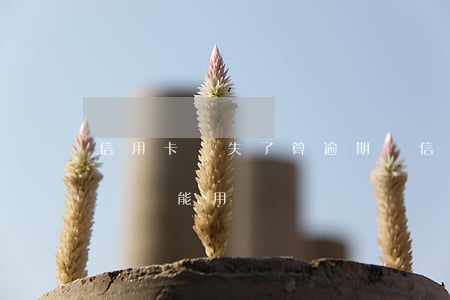 信用卡掛失了算逾期嗎(信用卡掛失了算逾期嗎還能用嗎)