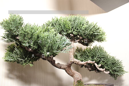 信用卡掛失能緩解逾期嗎(信用卡欠款可以掛失嗎)