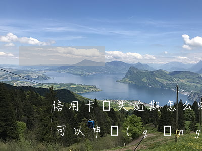 信用卡掛失逾期怎么回事(信用卡逾期掛失了,可以申請(qǐng)補(bǔ)卡嗎?)