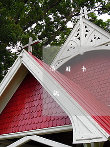 信用卡掛失逾期還款(信用卡掛失期間還能還款)