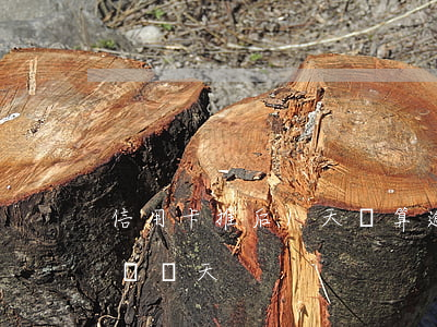 信用卡推后1天還算逾期嗎(還信用卡可以推遲幾天)