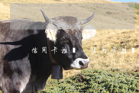 信用卡推薦-信用卡推薦排行