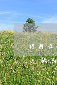 信用卡提前還款會(huì)算逾期嗎(提前還款失敗算逾期嗎)