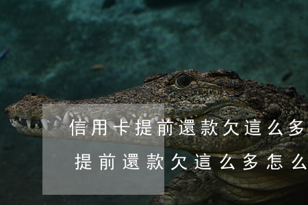 信用卡提前還款欠這么多怎么回事-信用卡提前還款欠這么多怎么回事啊