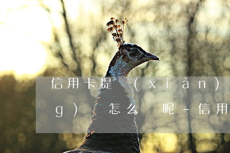 信用卡提現(xiàn)還不上應(yīng)該怎么辦呢-信用卡提現(xiàn)還不上應(yīng)該怎么辦呢怎么投訴
