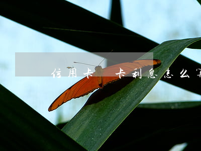 信用卡換卡利息怎么算 換信用卡舊卡怎么辦