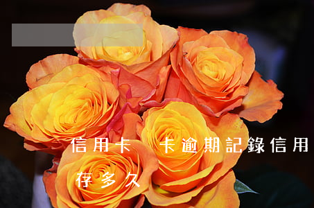 信用卡換卡逾期記錄(信用卡換卡逾期記錄保存多久)