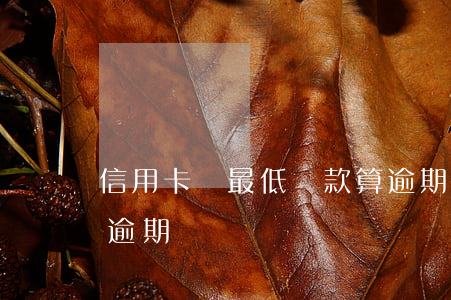 信用卡換最低還款算逾期不(信用卡 最低還款 逾期)