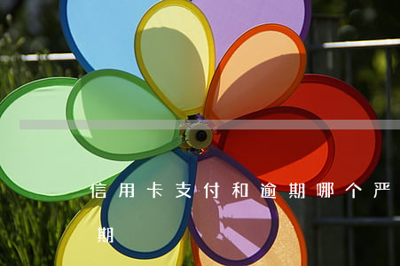 信用卡支付和逾期哪个严重(什么是信用卡逾期)
