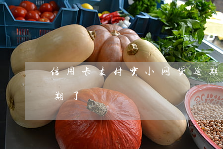 信用卡支付宝小网贷逾期了(网贷支付宝都逾期了)