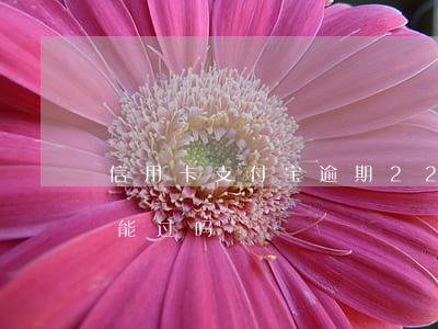 信用卡支付宝逾期22万(支付宝逾期信用卡能过吗)