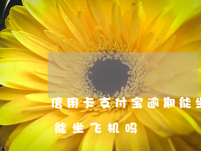 信用卡支付宝逾期能坐飞机吗(支付宝逾期了能坐飞机吗?)