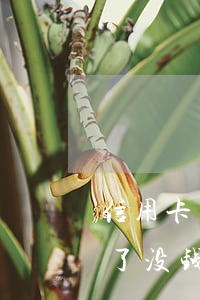 信用卡支付宝都逾期了(信用卡支付宝都逾期了没钱)