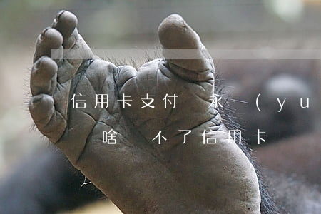 信用卡支付寶永遠(yuǎn)不還(支付寶為啥還不了信用卡)