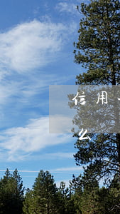 信用卡支付寶網(wǎng)貸欠30萬怎么辦-信用卡支付寶網(wǎng)貸欠30萬怎么辦理
