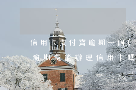 信用卡支付寶逾期一個(gè)月了(支付寶逾期還能辦理信用卡嗎)