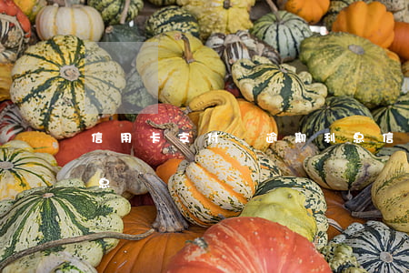 信用卡支付寶逾期利息(信用卡支付寶逾期利息)