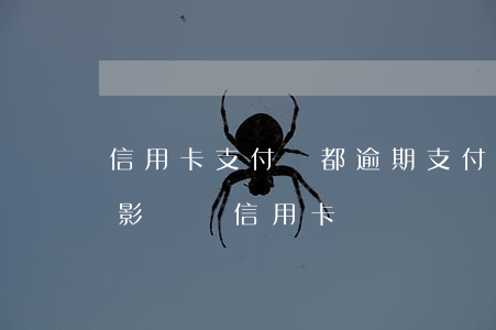 信用卡支付寶都逾期 支付寶逾期一個星期會影響辦信用卡嗎