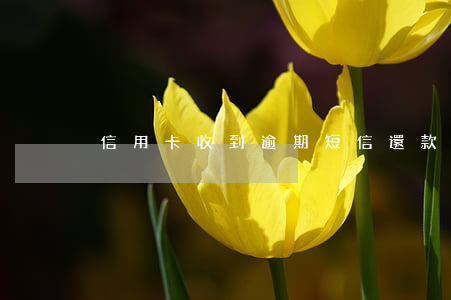 信用卡收到逾期短信還款(信用卡逾期的短信)