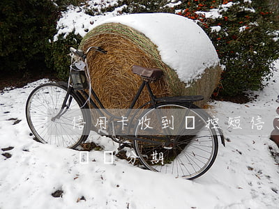信用卡收到風控短信了怎么辦(信用卡被風控趕緊分期)