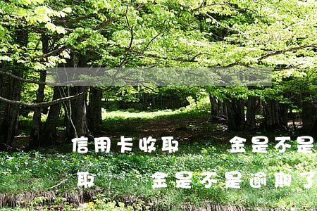 信用卡收取違約金是不是逾期了-信用卡收取違約金是不是逾期了呢