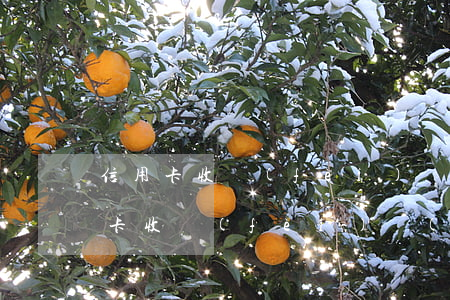 信用卡收費(fèi)協(xié)商(信用卡收費(fèi)協(xié)商合法嗎)