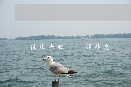 信用卡收費辦理停息掛賬(信用卡可以辦停息掛賬嗎)