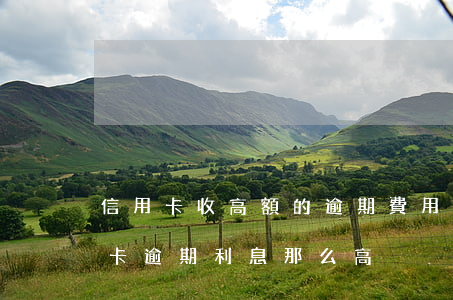 信用卡收高額的逾期費用合理嗎(為什么信用卡逾期利息那么高)