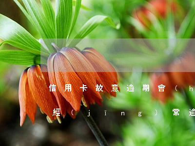 信用卡故意逾期會(huì)怎么樣(信用卡經(jīng)常逾期會(huì)怎樣)
