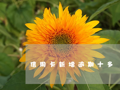 信用卡新增逾期 十多張信用卡逾期