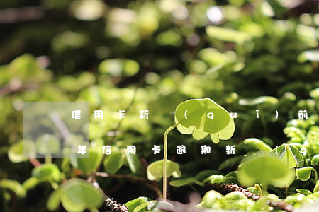 信用卡新規(guī)前的逾期-2021年信用卡逾期新規(guī)定