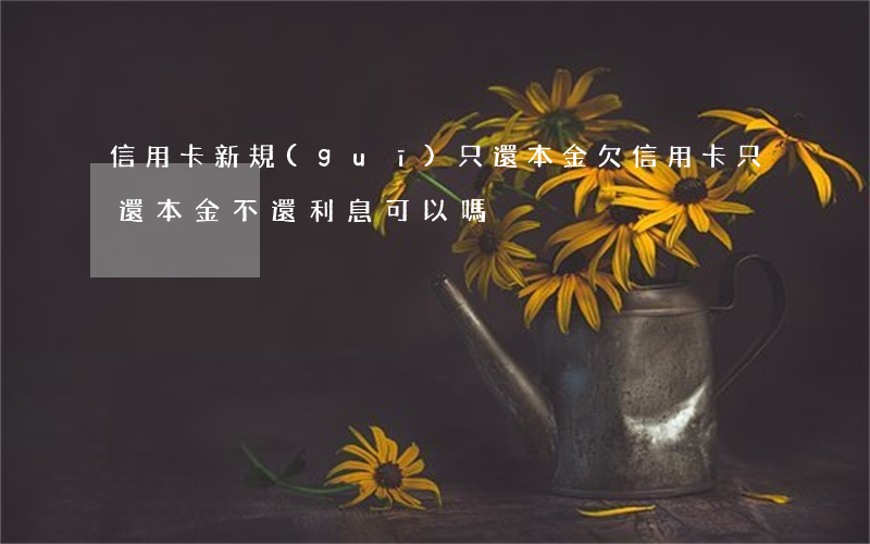 信用卡新規(guī)只還本金(欠信用卡只還本金不還利息可以嗎)