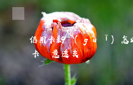 信用卡新規(guī)怎么算惡意透支(信用卡 惡意透支)