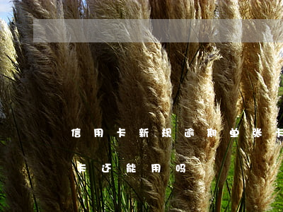 信用卡新规逾期单张卡(信用卡新规逾期单张卡还能用吗)