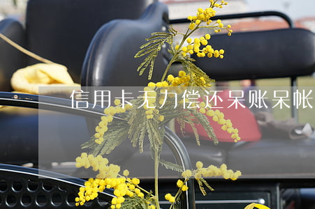 信用卡无力偿还呆账(呆帐信用卡)